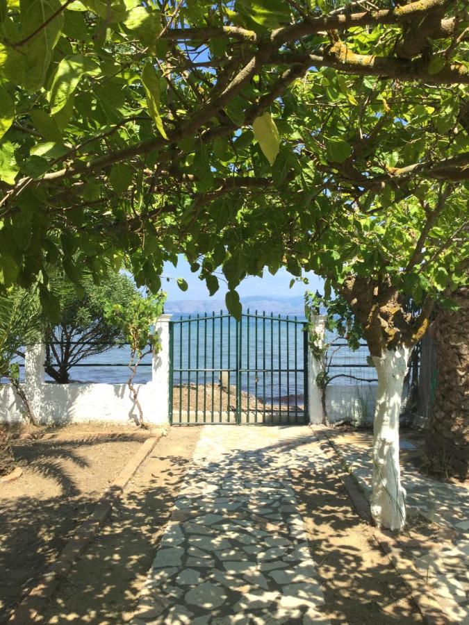 Aristidis Casa vacanze Lefkimmi (Corfu)
